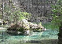 img_1380.jpg