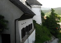 img_2243.jpg