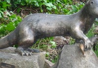 img_2291.jpg
